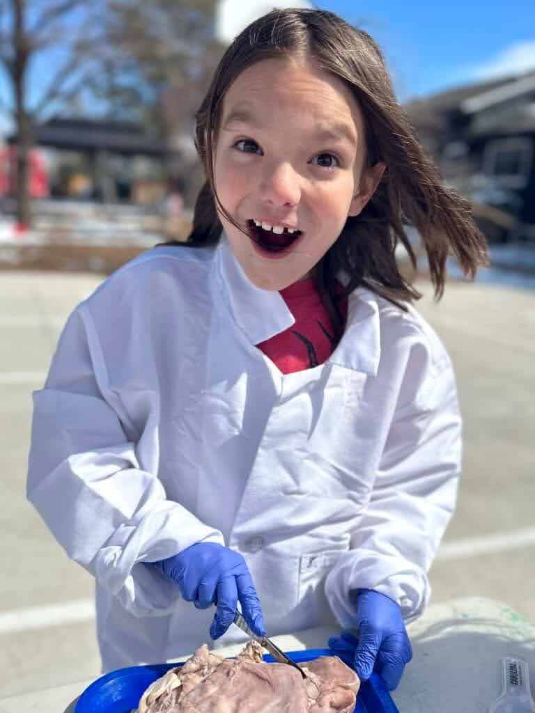 Young girl with brown hair and brown eyes wearing a white lab coat and surgical gloves looks excitedly at the camera while dissecting an animal organ. Photo is shared on the webpage supporting Educators Collaborative's Interim Head of School search fro Mackintosh Academy.