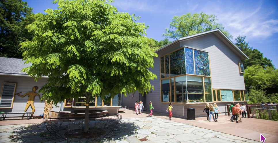 Screenshot 2026-02-27 at 11.38.23 AM